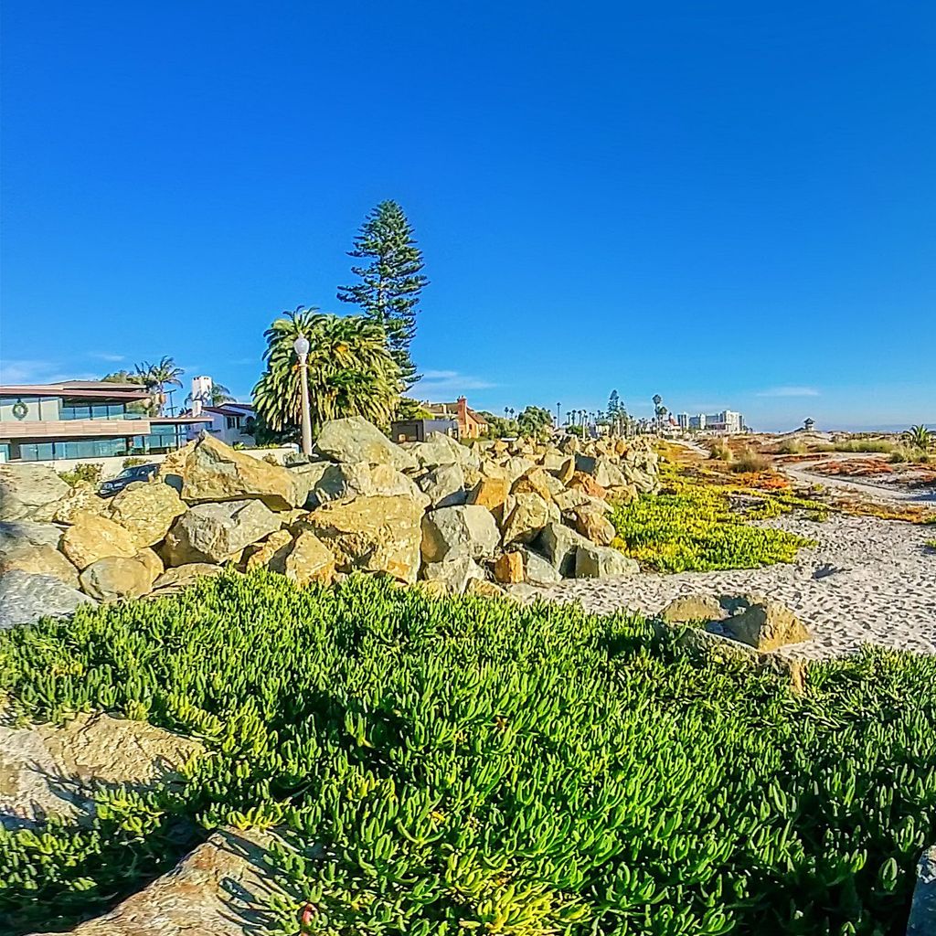 Coronado Beach 1
