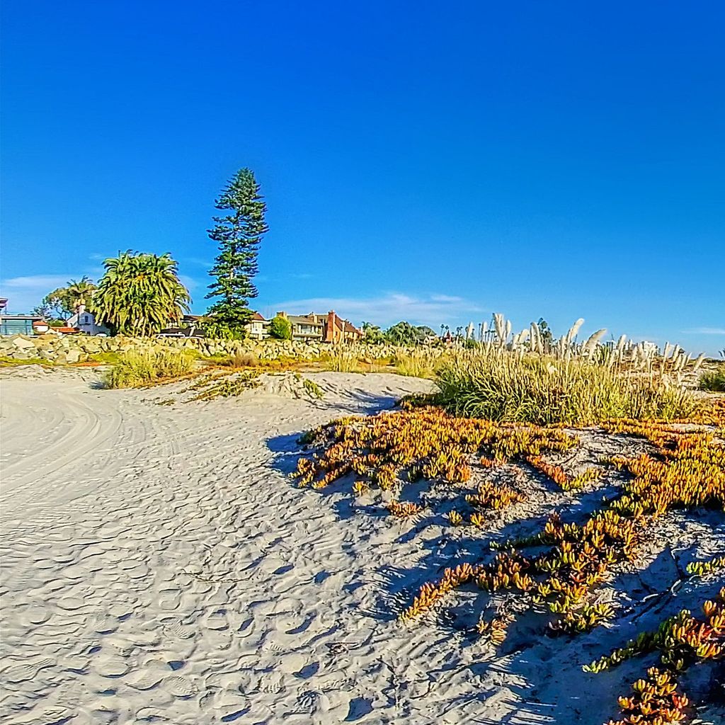 Coronado Beach 4