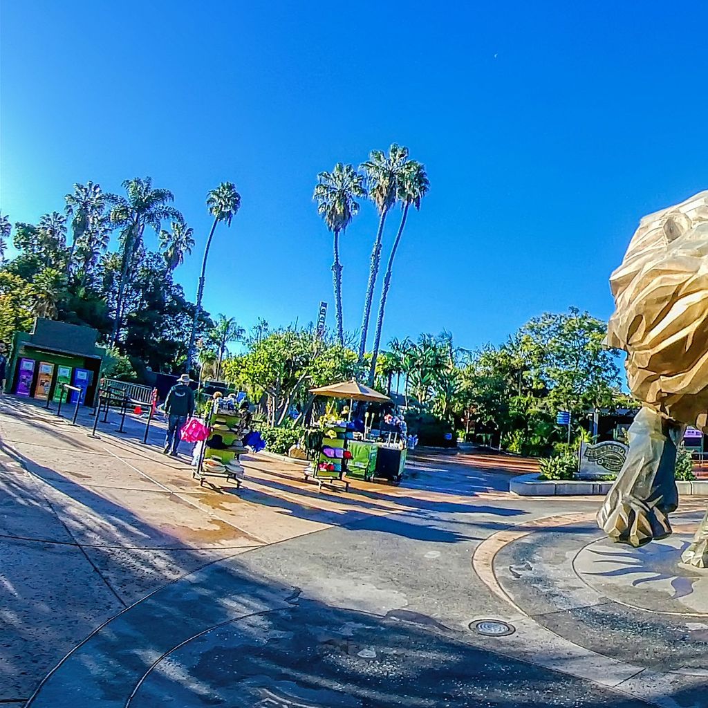Zoo - Lion Statue