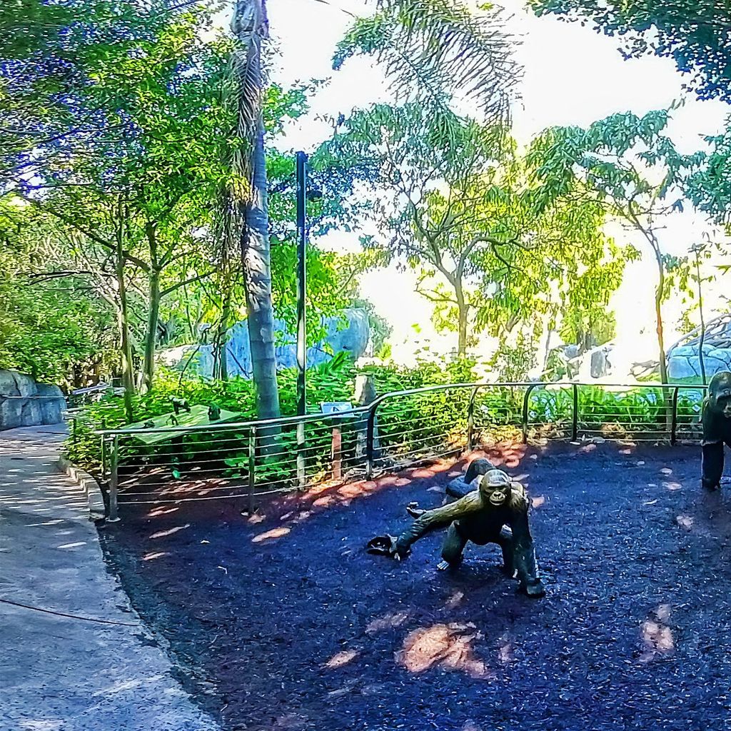 Zoo - Gorilla Statues