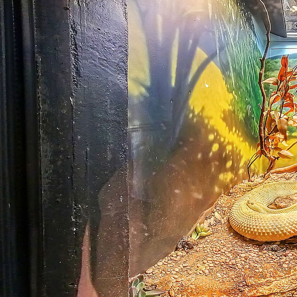 Zoo - Reptile house