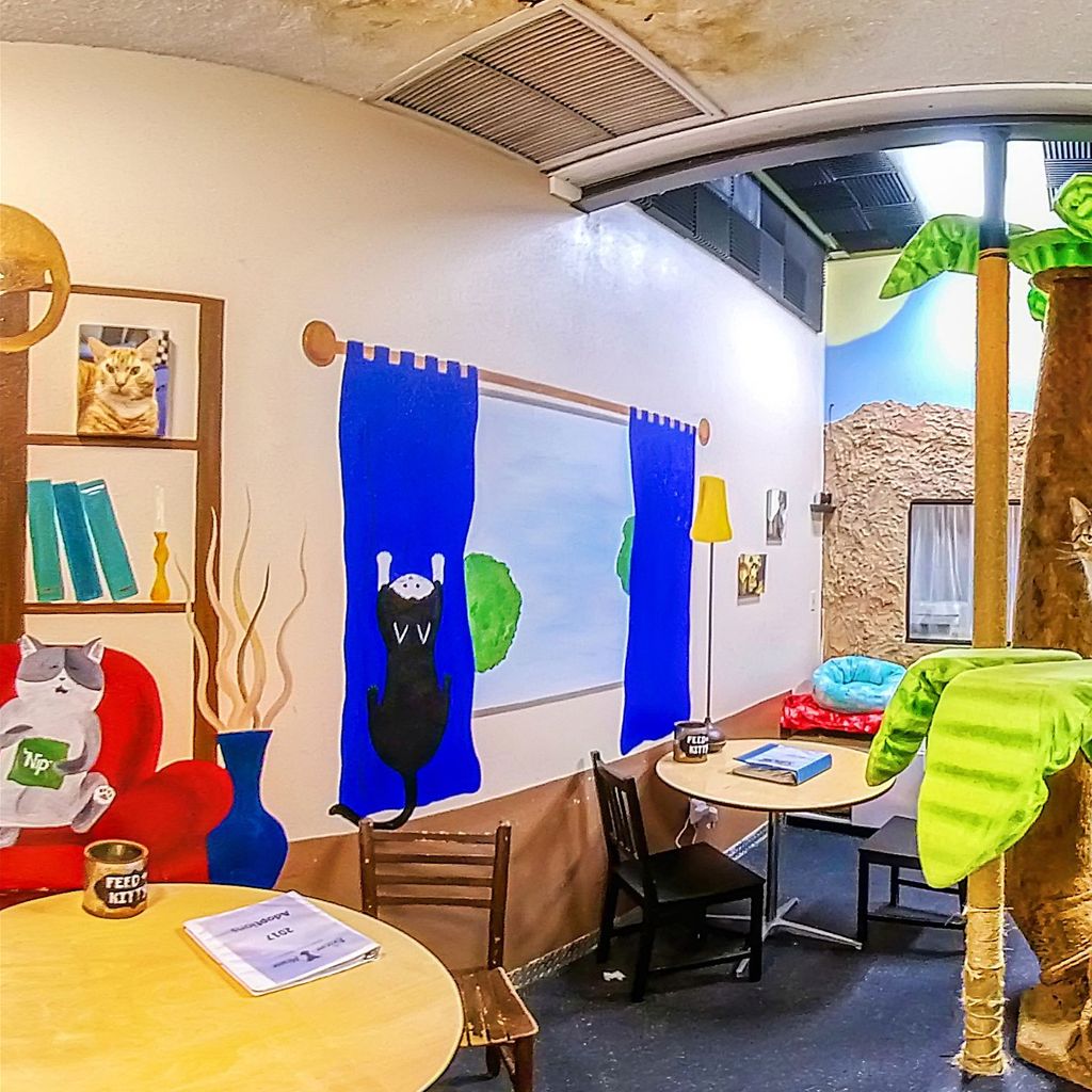 Cat Cafe 1