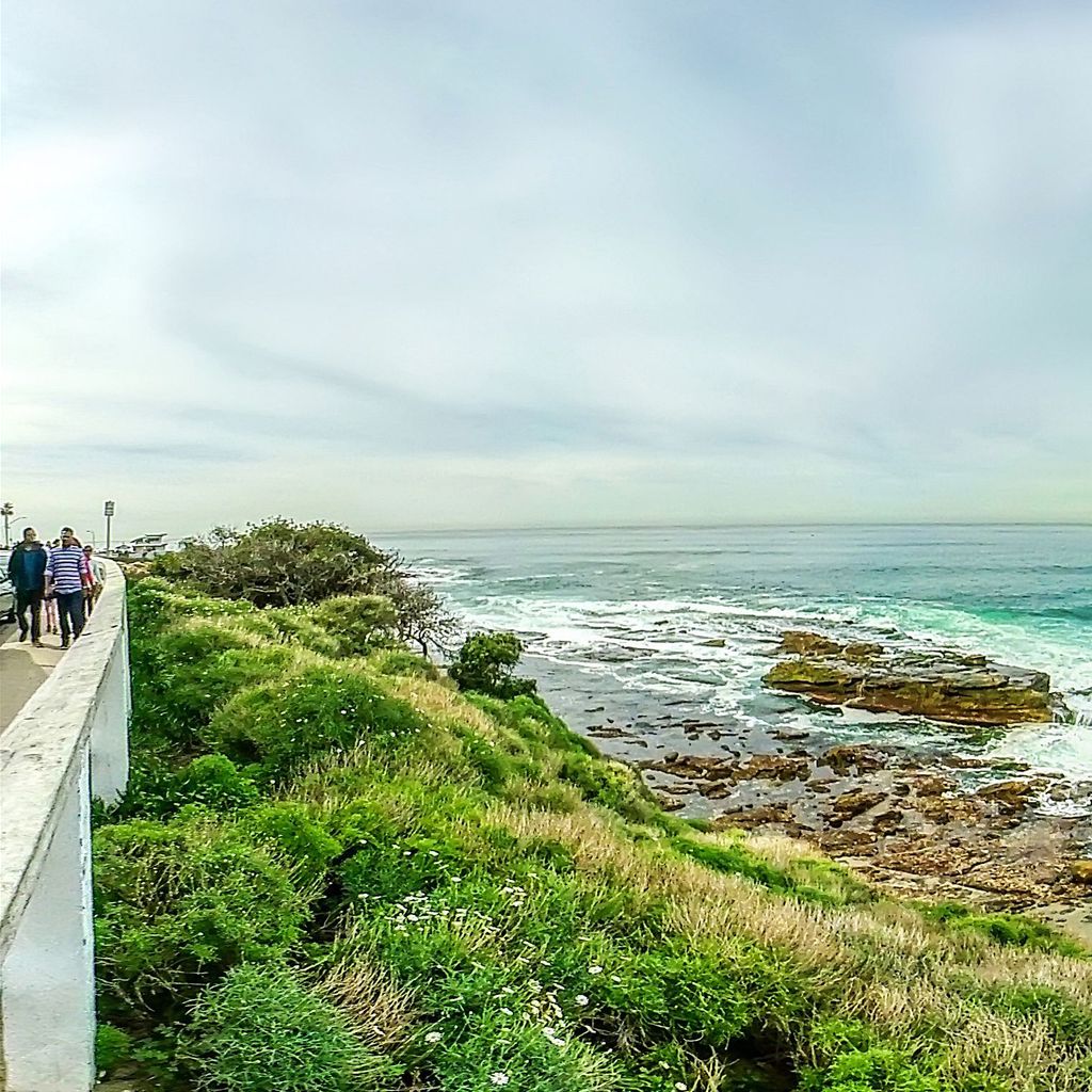 La Jolla - Seal Rock