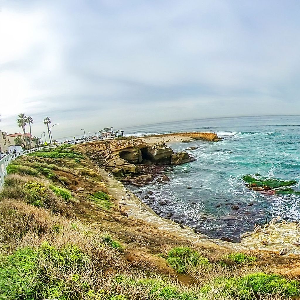 La Jolla - Children's Pool 1