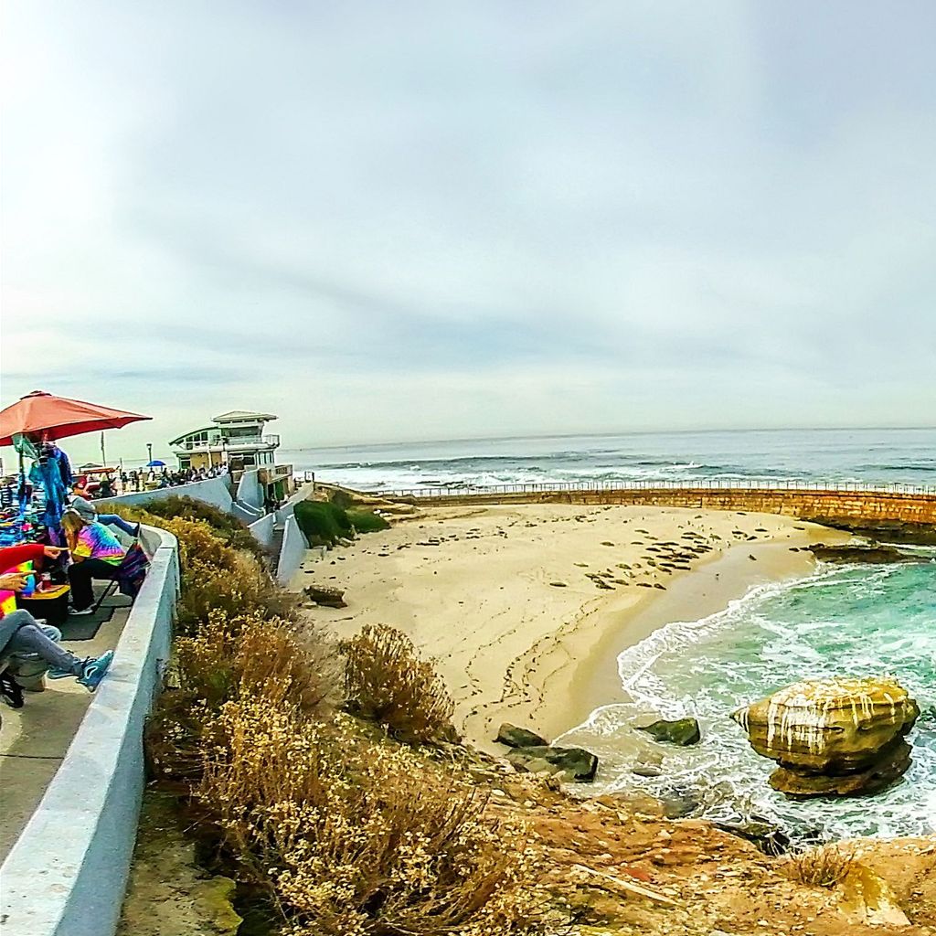 La Jolla - Children's Pool 2