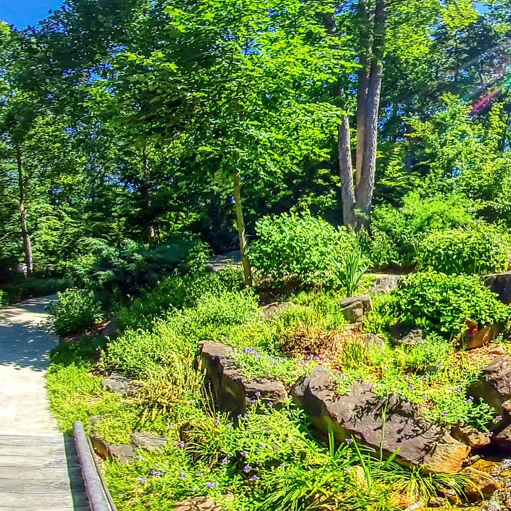Stream Garden Level 3 - Summer