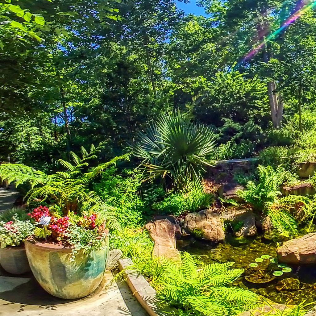 Stream Garden Level 4 - Summer