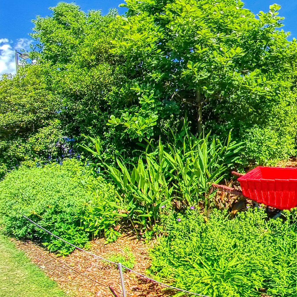 Lego Wheelbarrow