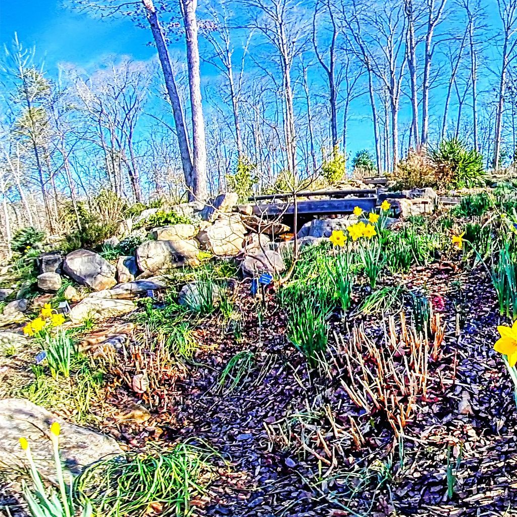 Stream Garden Level 3 - Winter