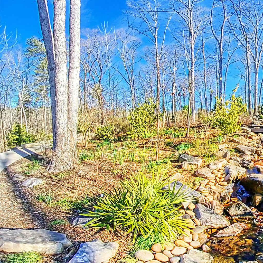 Stream Garden Level 2 - Winter