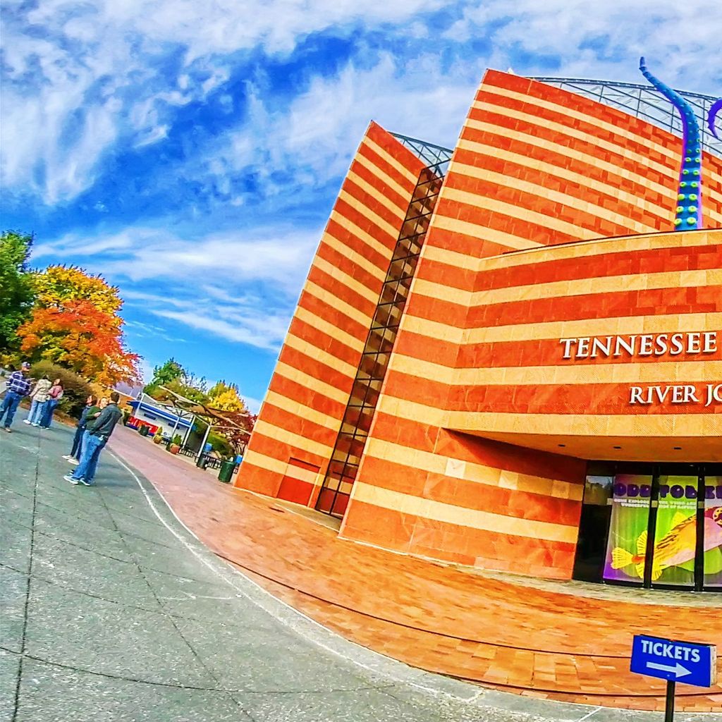 Tennessee Aquarium