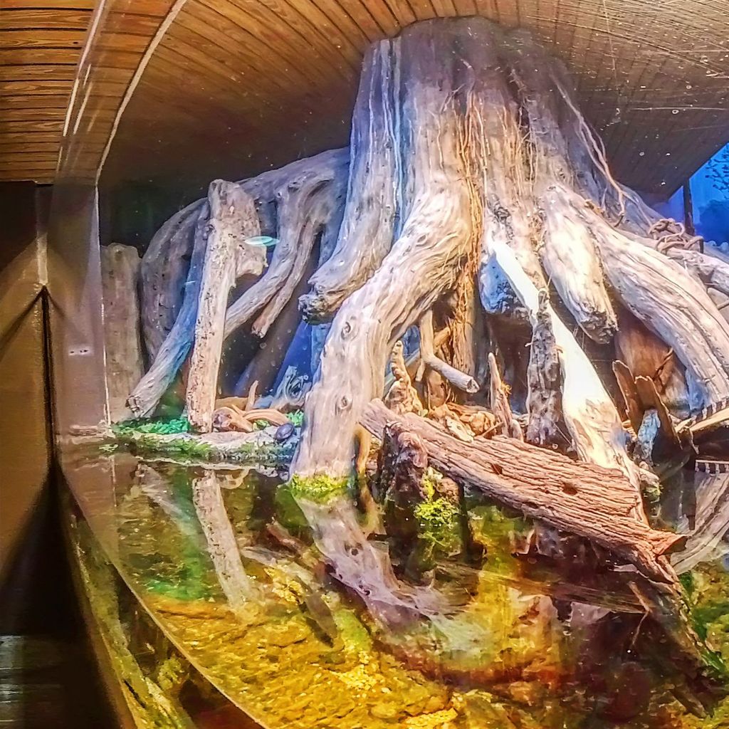 TA - River Journey 7