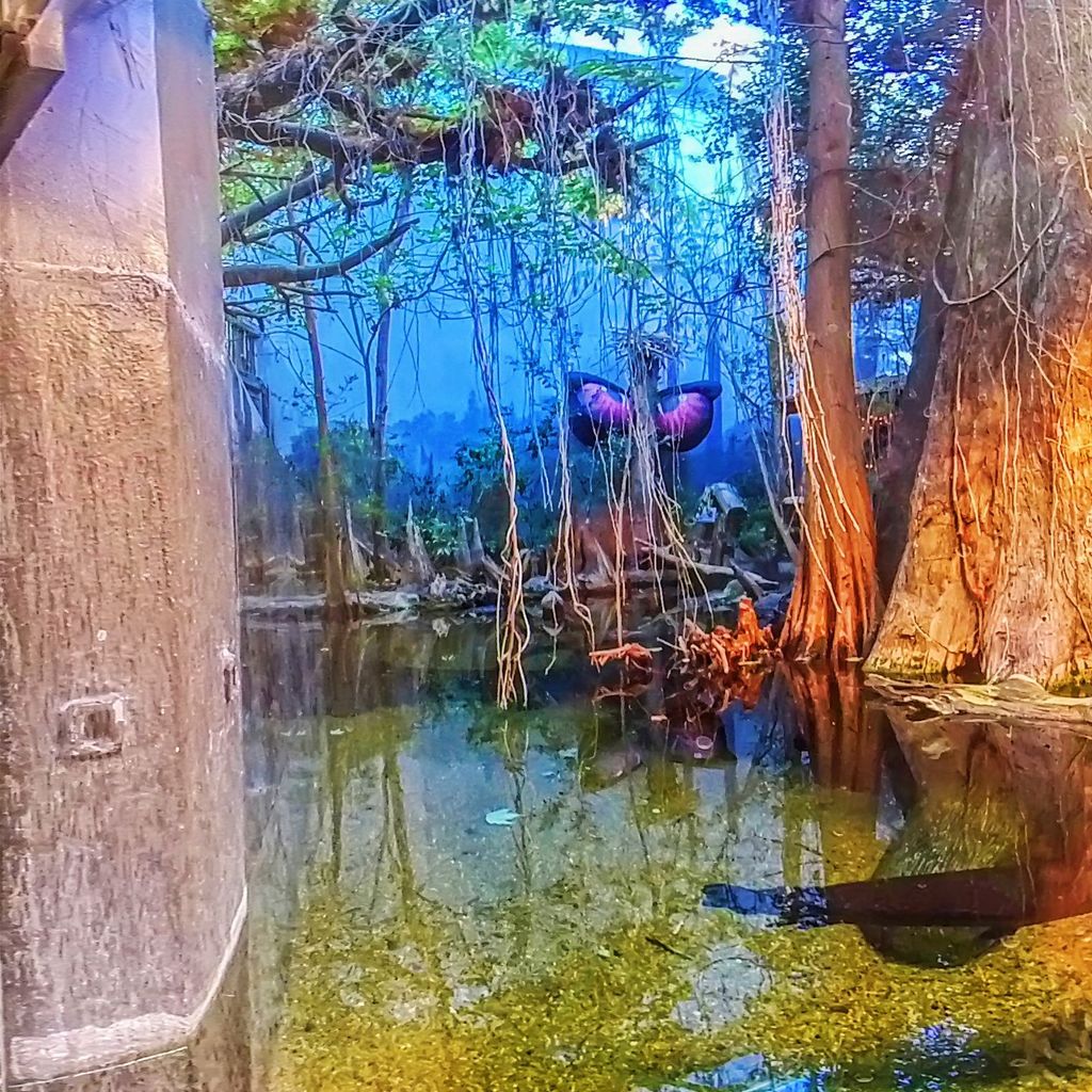 TA - River Journey 8