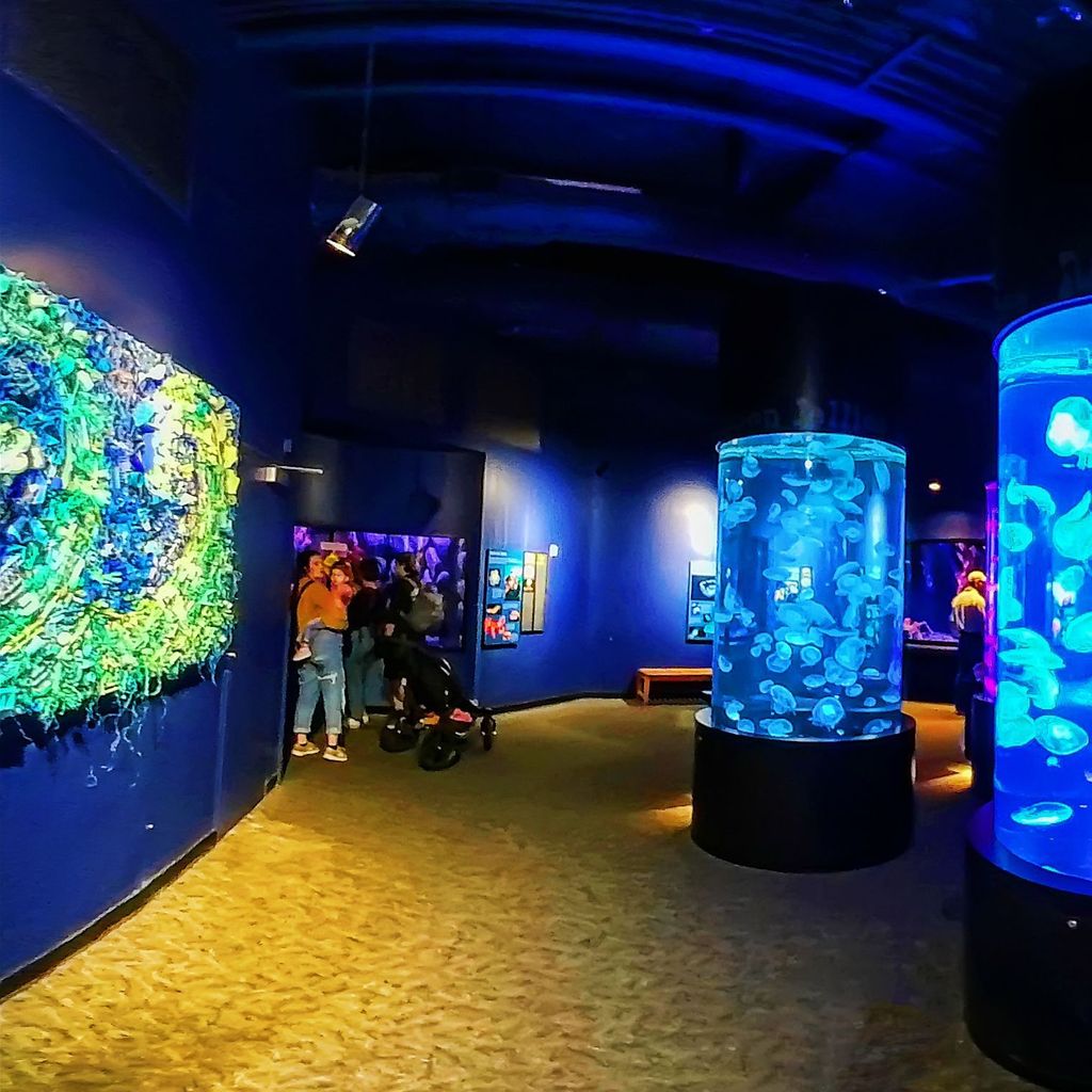 TA - Ocean Journey 10