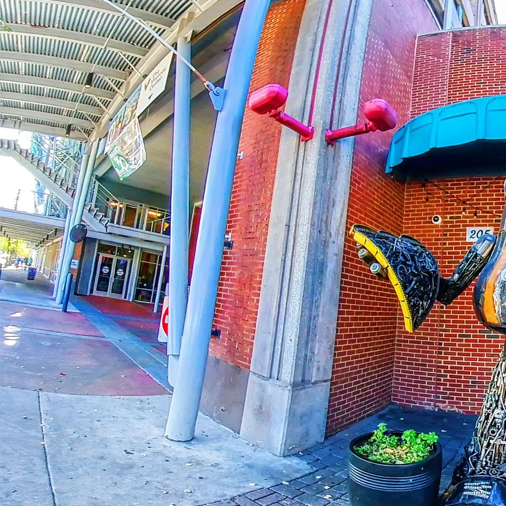 Mellow Mushroom