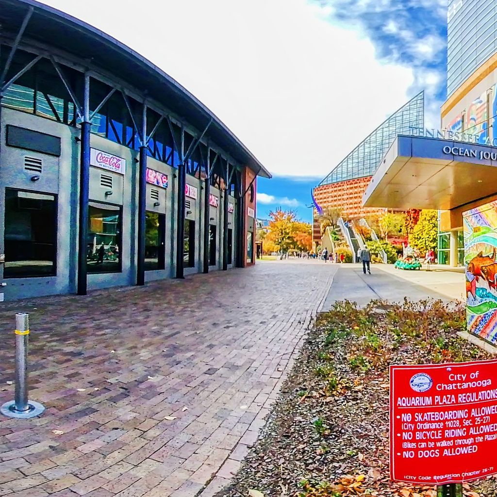 Aquarium / The Passage