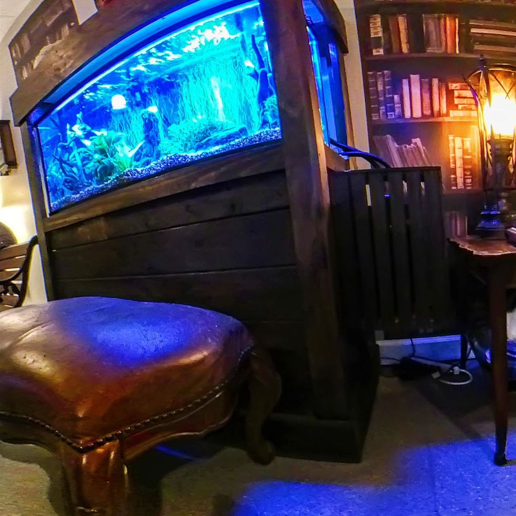 Naughty Cat Cafe 2