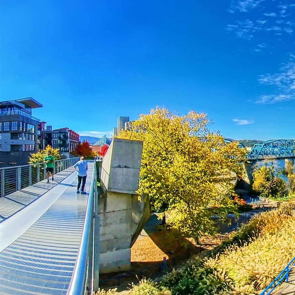 Holmberg Bridge 1