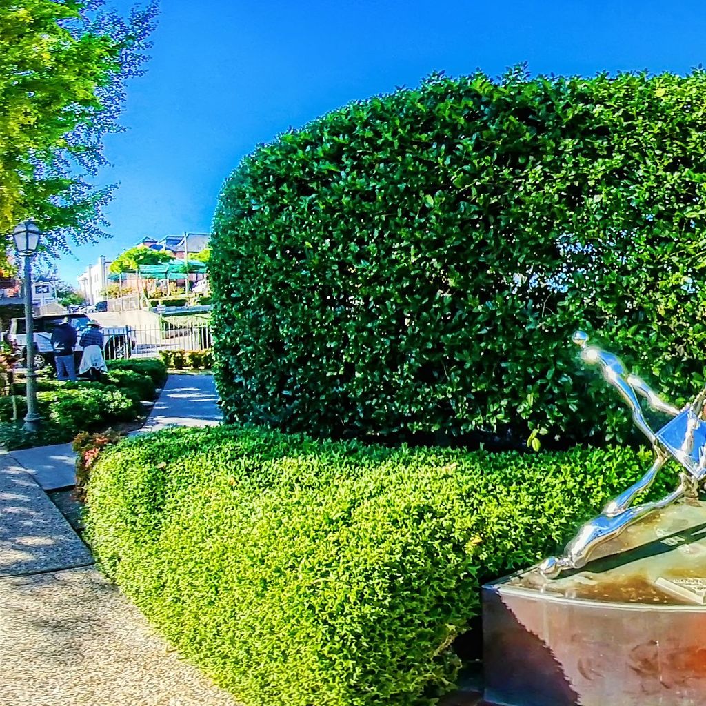 Sculpture Garden 3