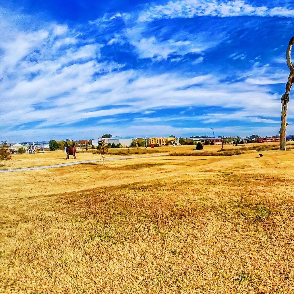 Sculpture Fields