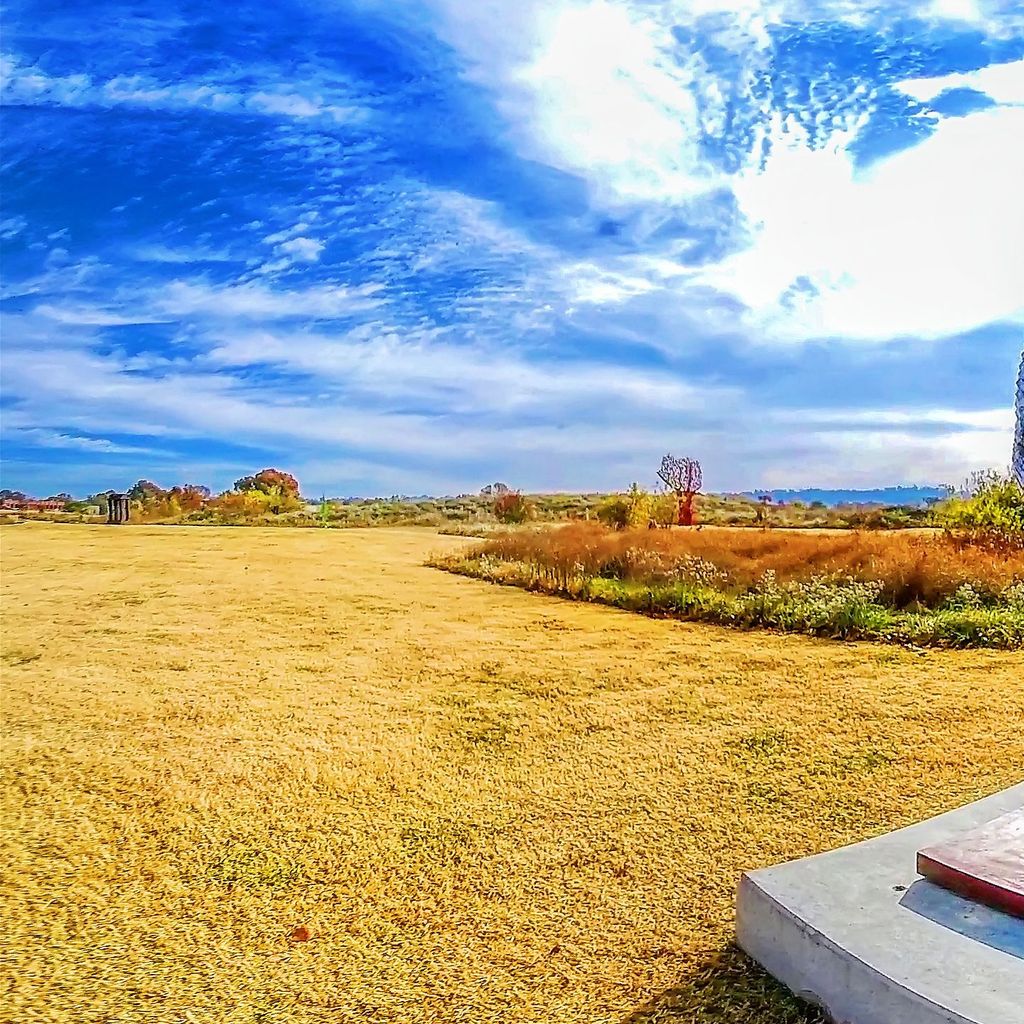 Sculpture Fields 1