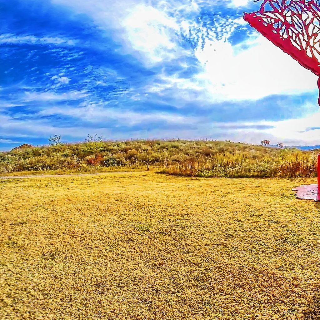 Sculpture Fields 2