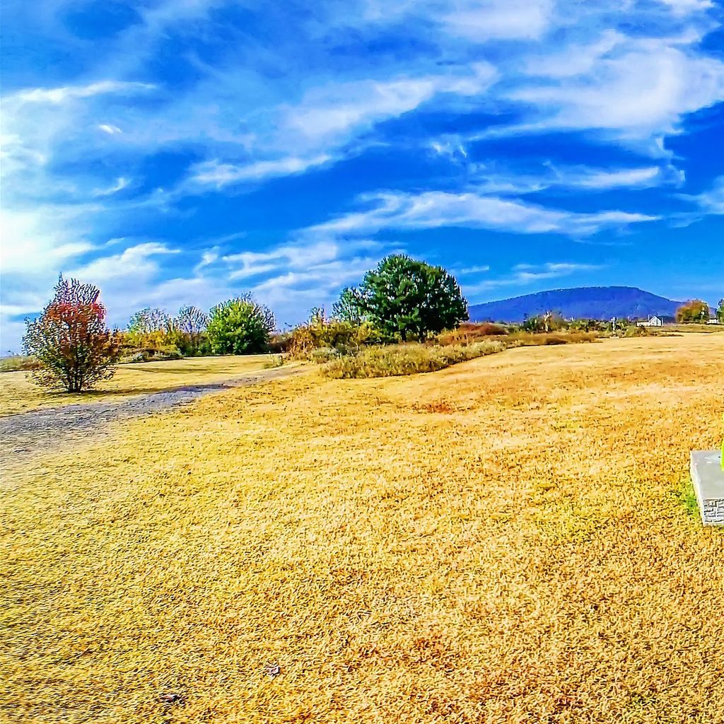Sculpture Fields 3