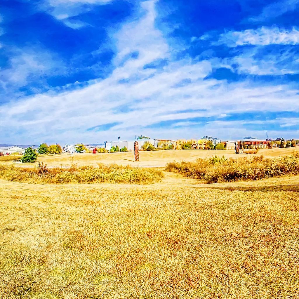 Sculpture Fields 6