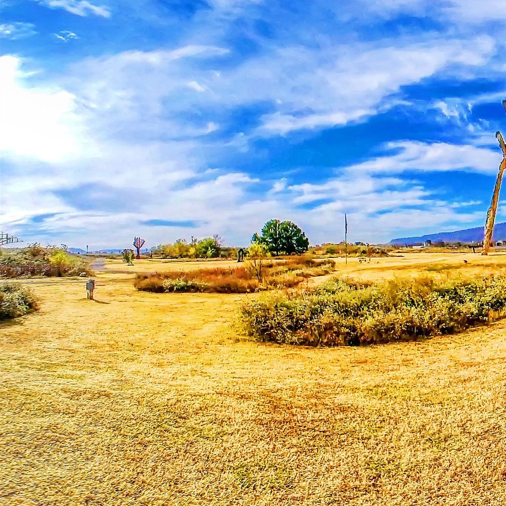 Sculpture Fields 7