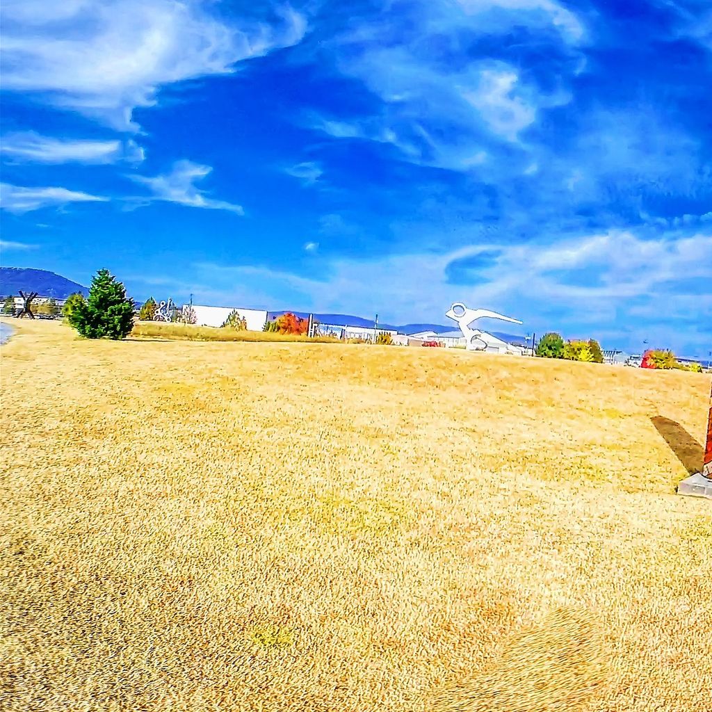 Sculpture Fields 8