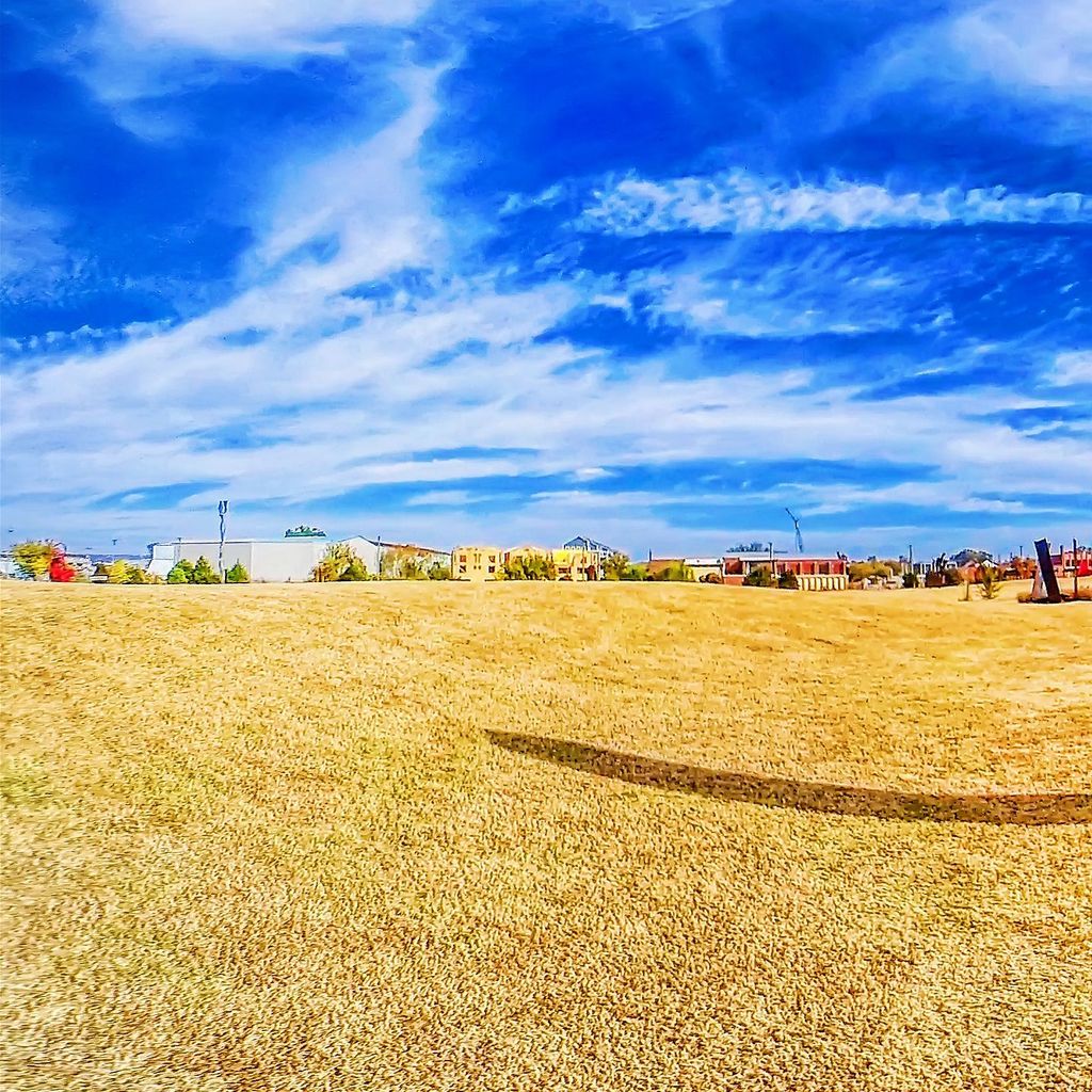 Sculpture Fields 9