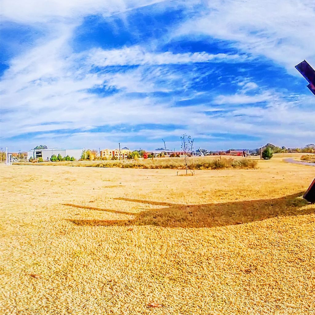 Sculpture Fields 12