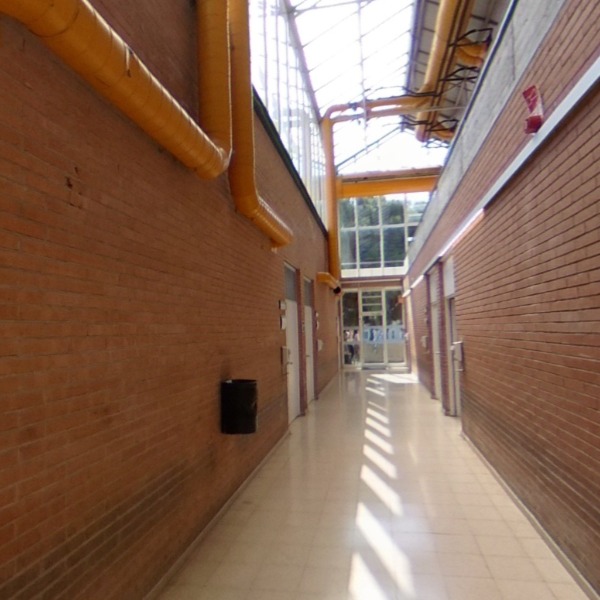 Seminaris