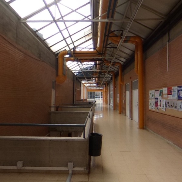 Aules dalt 1