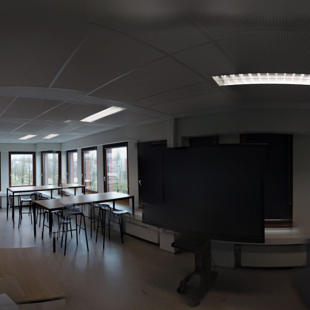 medewerker ict project