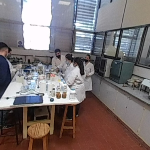 Laboratorio 209
